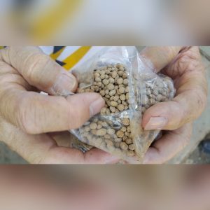 Read more about the article Revolutionizing Agriculture: The Journey of Crest Technical in NPK Fertilizer Innovation